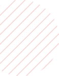 Vector Image One